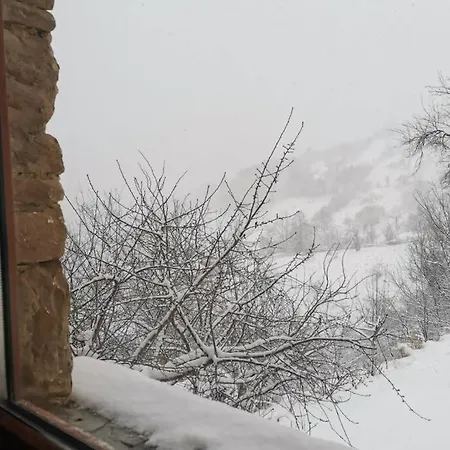 Cozy Mountain Home, 19 Km From Pamporovo