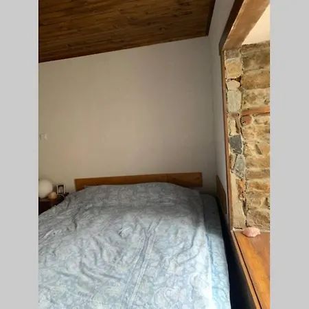 Cozy Mountain Home, 19 Km From Pamporovo
